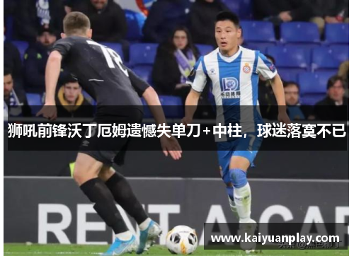 狮吼前锋沃丁厄姆遗憾失单刀+中柱，球迷落寞不已